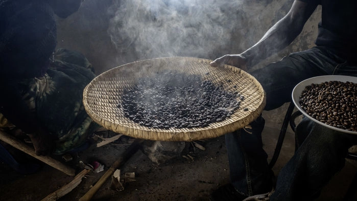 Ekologisk kaffefarm, Uganda