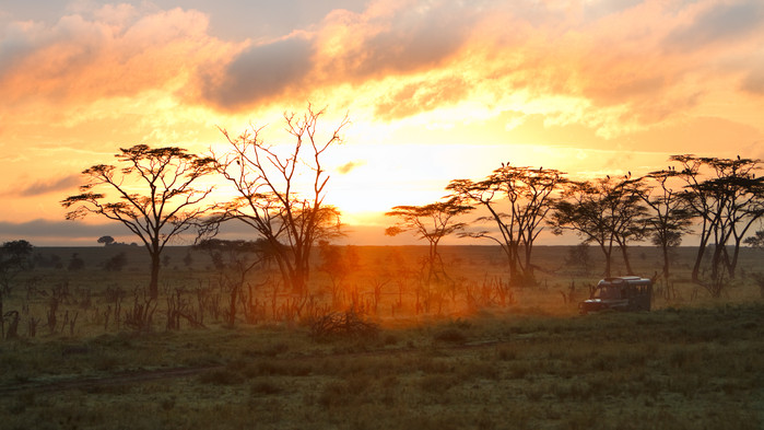 Solnedgång, Serengeti.