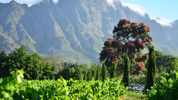 Franschhoek